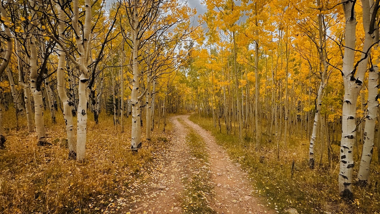 Exploring Colorado’s Gold Belt Tour: A Jeep Adventure Like No Other