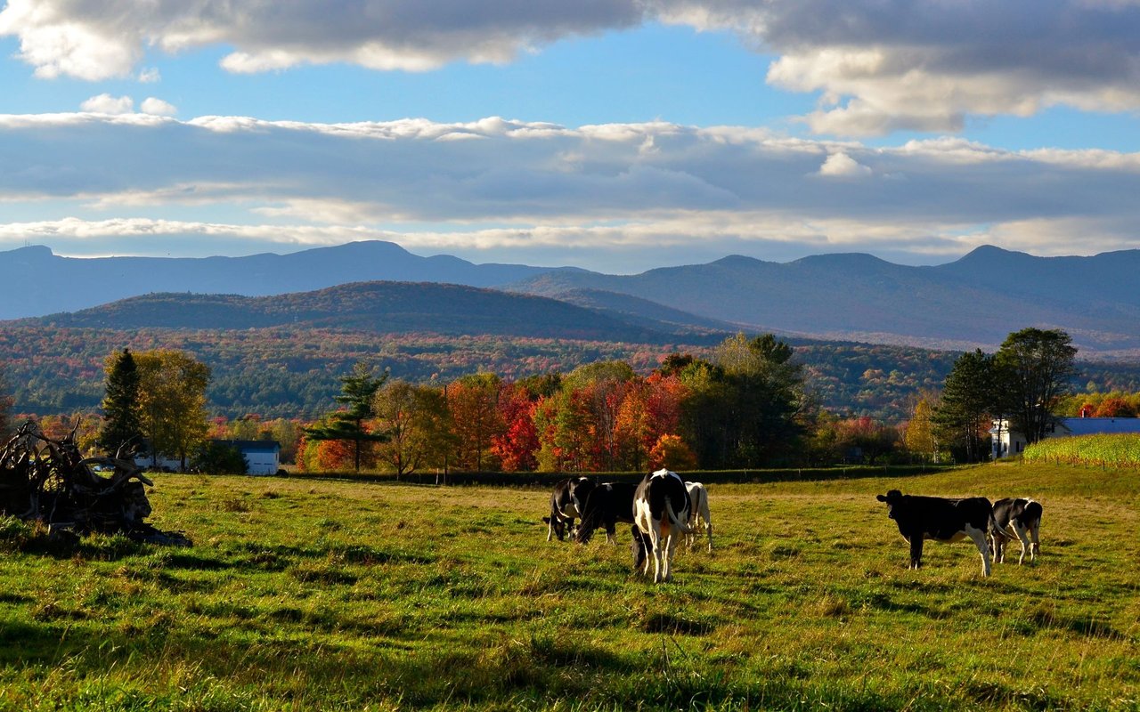 Shelburne