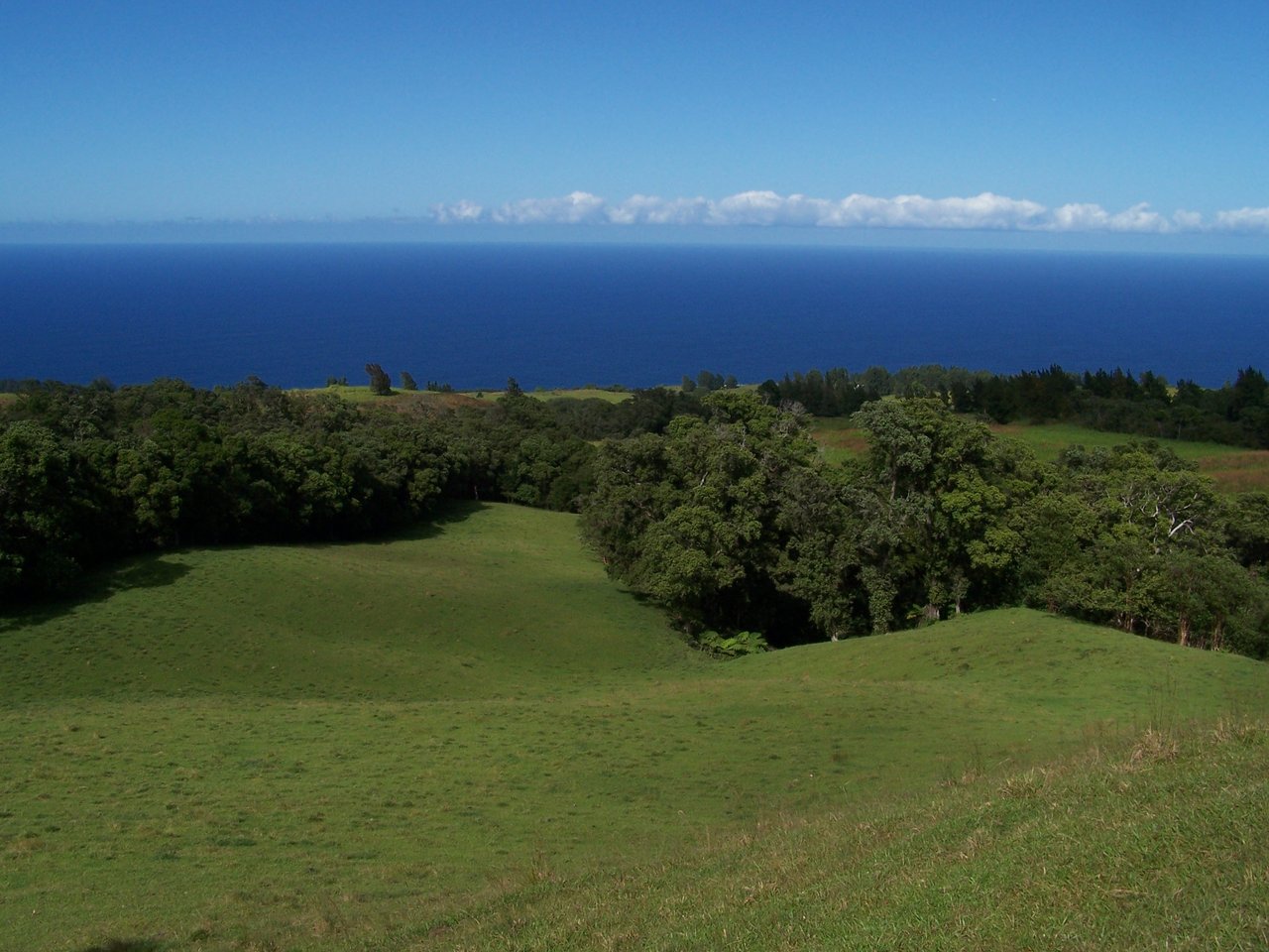 HAMAKUA COAST BIG ISLAND