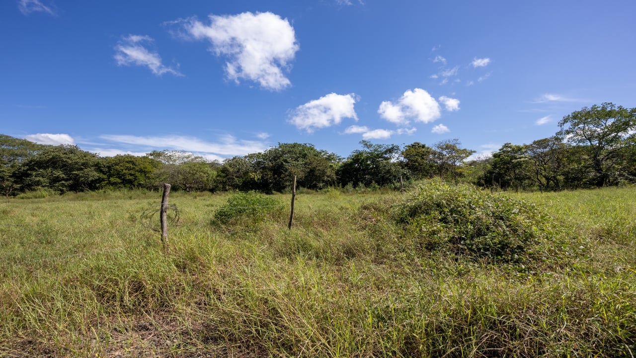 Los Jobos Lot #2 | Flat 936 m² Buildable Lot Minutes from Tamarindo Beach