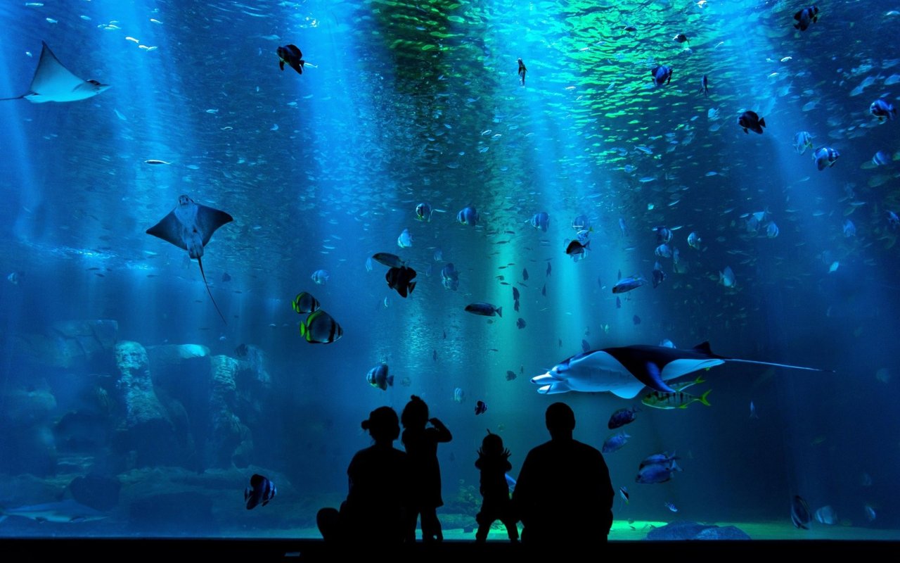 Come See Why Adventure Aquarium Is One of The Top 8 Aquariums in The U.S.