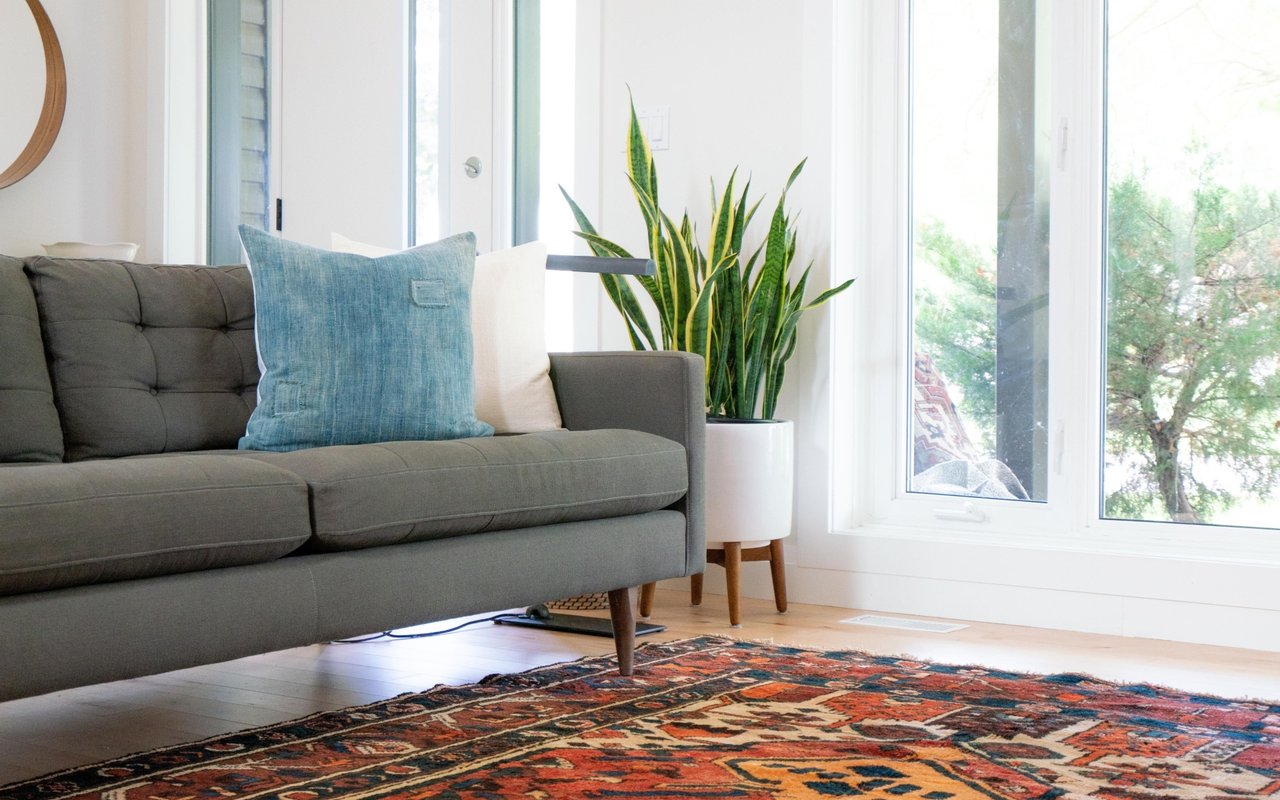 Bright living room with a gray sofa, potted snake plant, and colorful patterned rug beside large windows.