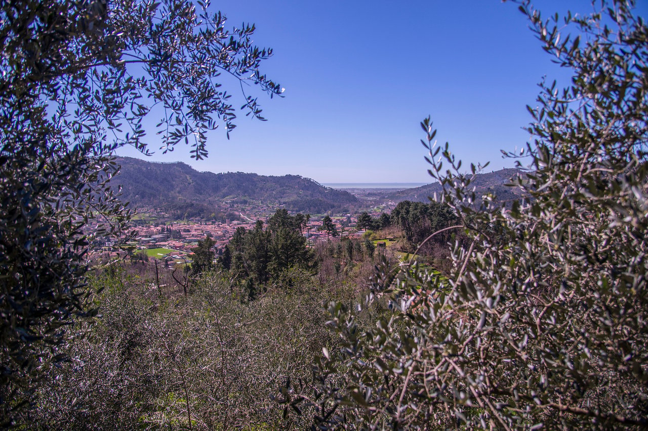 Casa Dell'arte Villa of Art