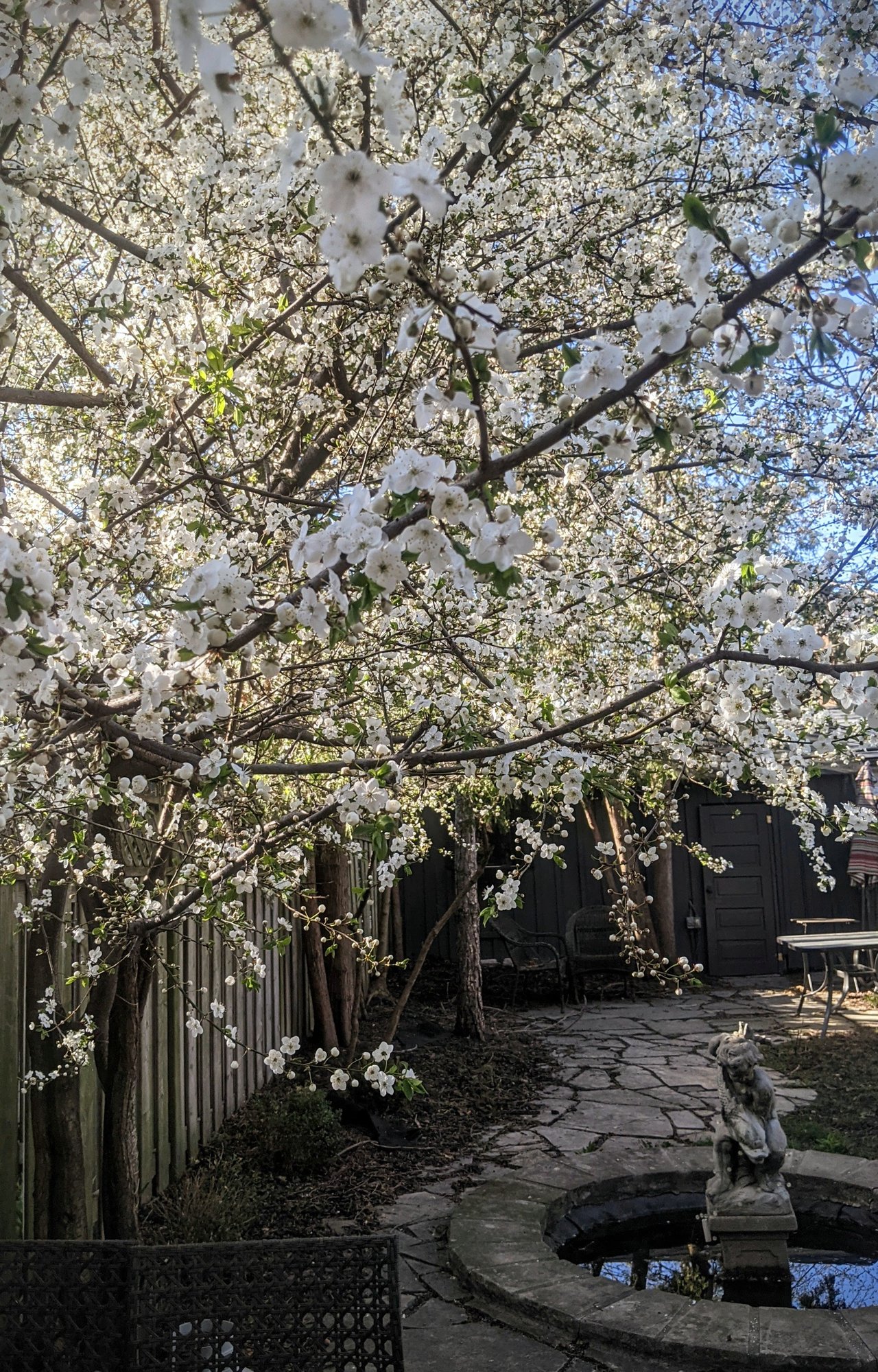 48 Galley Avenue