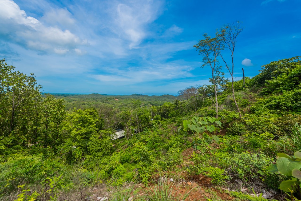 Lot 81, Rancho Villareal