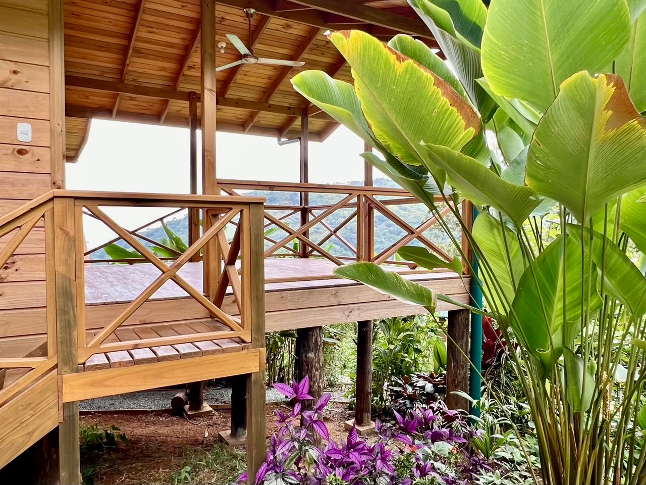 Eco-Luxury Home and Cabins with Waterfall, Ocean Views, and Organic Farming Potential