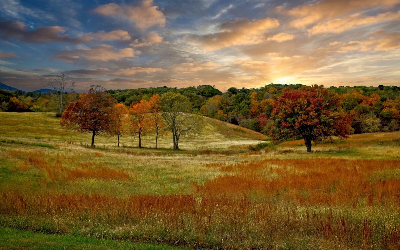 Love Where You Live: What Makes Blairsville So Special