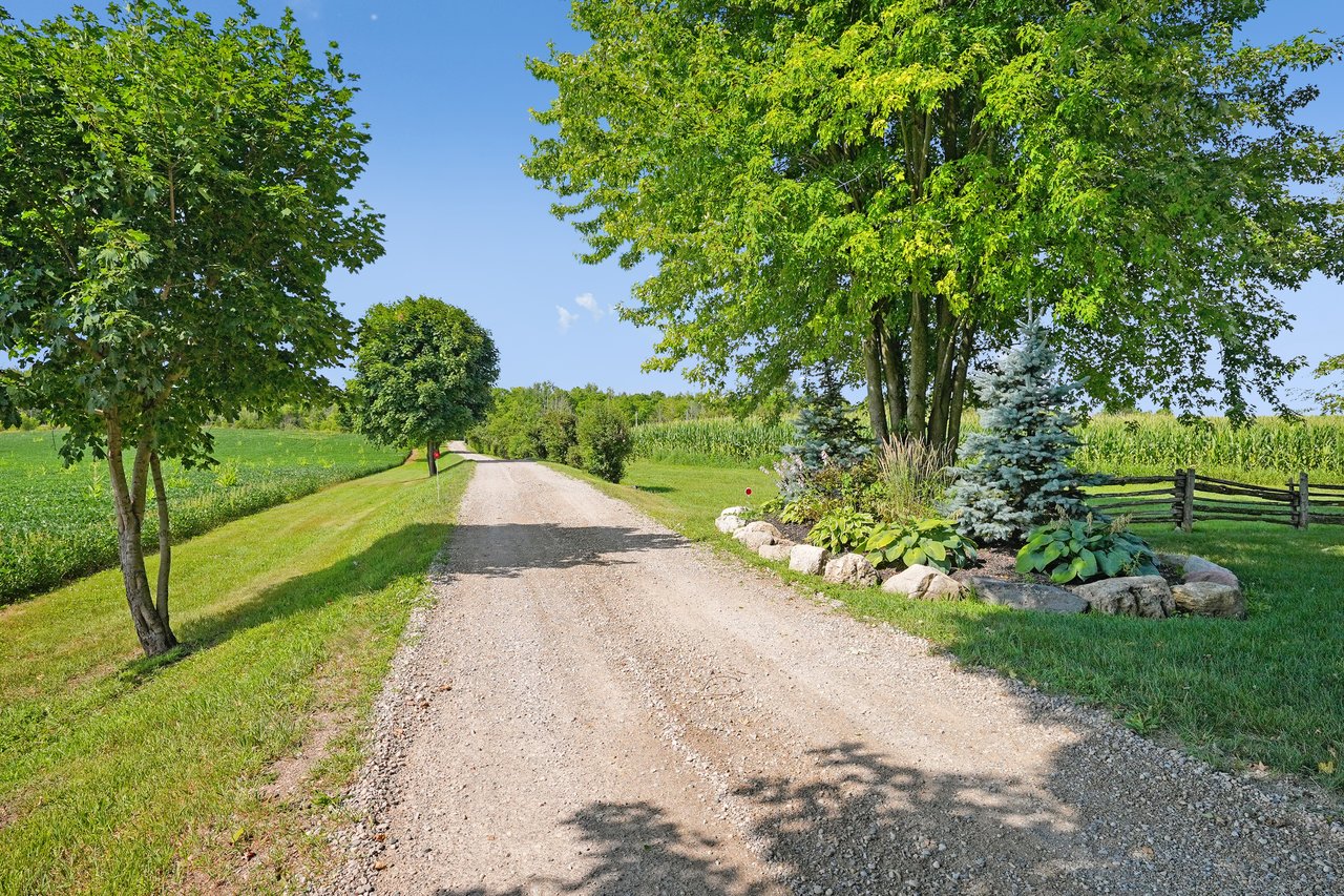 Extraordinary Equestrian Estate