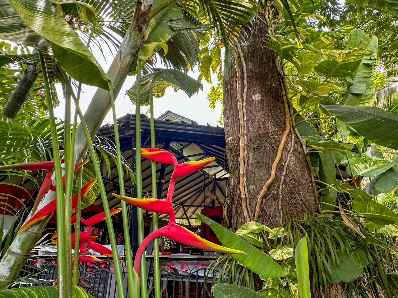 Ojochal Property for Sale – Cabins, Restaurant & 3-Bed Home