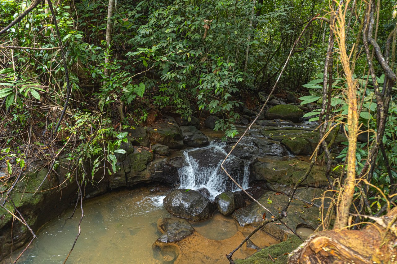 Serene Costa Rican Jungle Retreat with Waterfalls & Wildlife