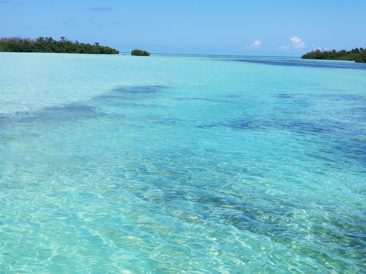 Tavernier/Plantation Key