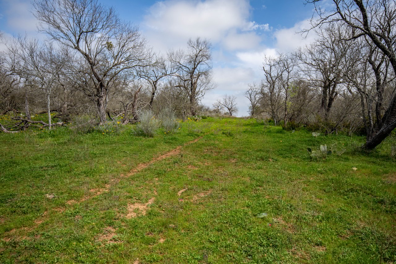 Dry Hollow Creek Ranch | 21.96± Acres | Bexar County