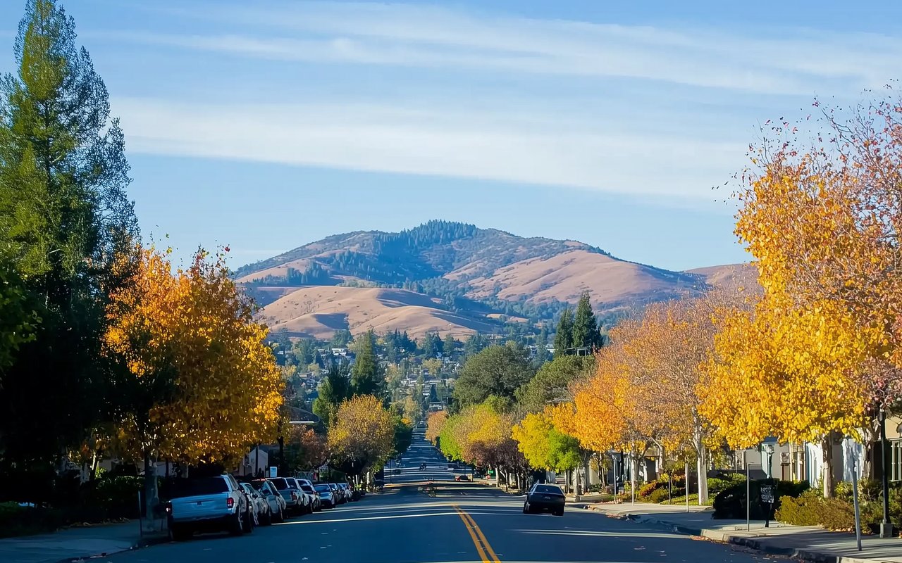Highland Terrace