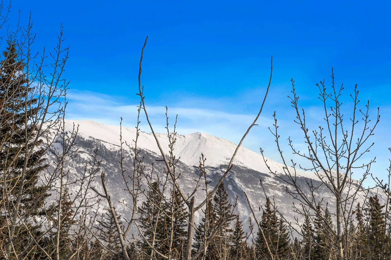 1 - 105 Rundle Drive 