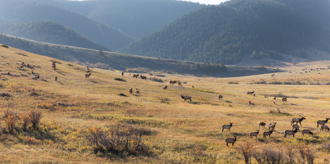 Box Elder Ranch