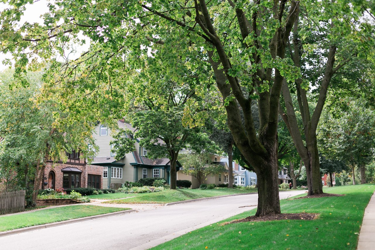 A quiet residential street in Madison, Wisconsin lined with mature trees and varied older homes, representing the kind of established neighborhood where property tax assessments reflect long-term market appreciation.