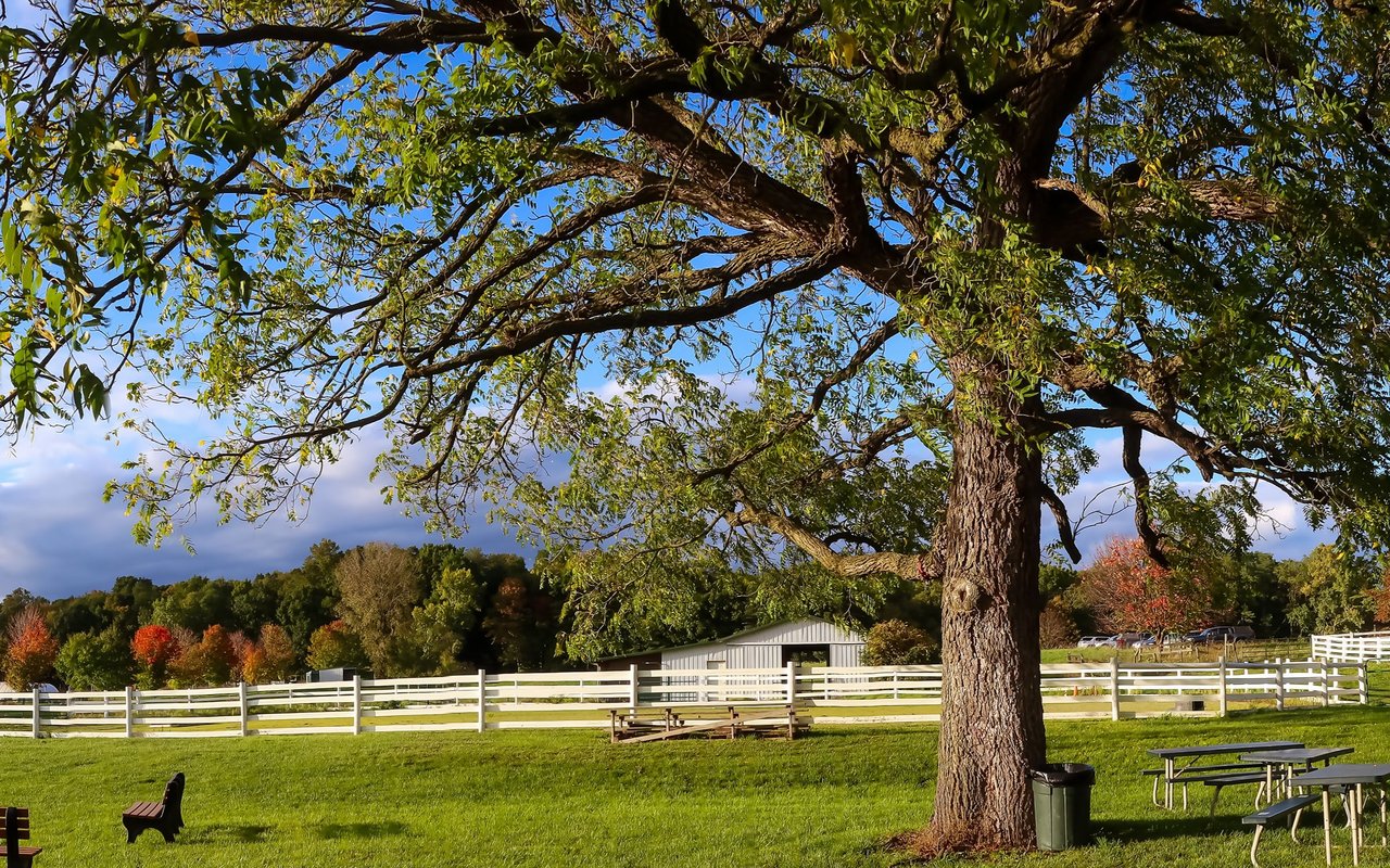 Farmington Hills