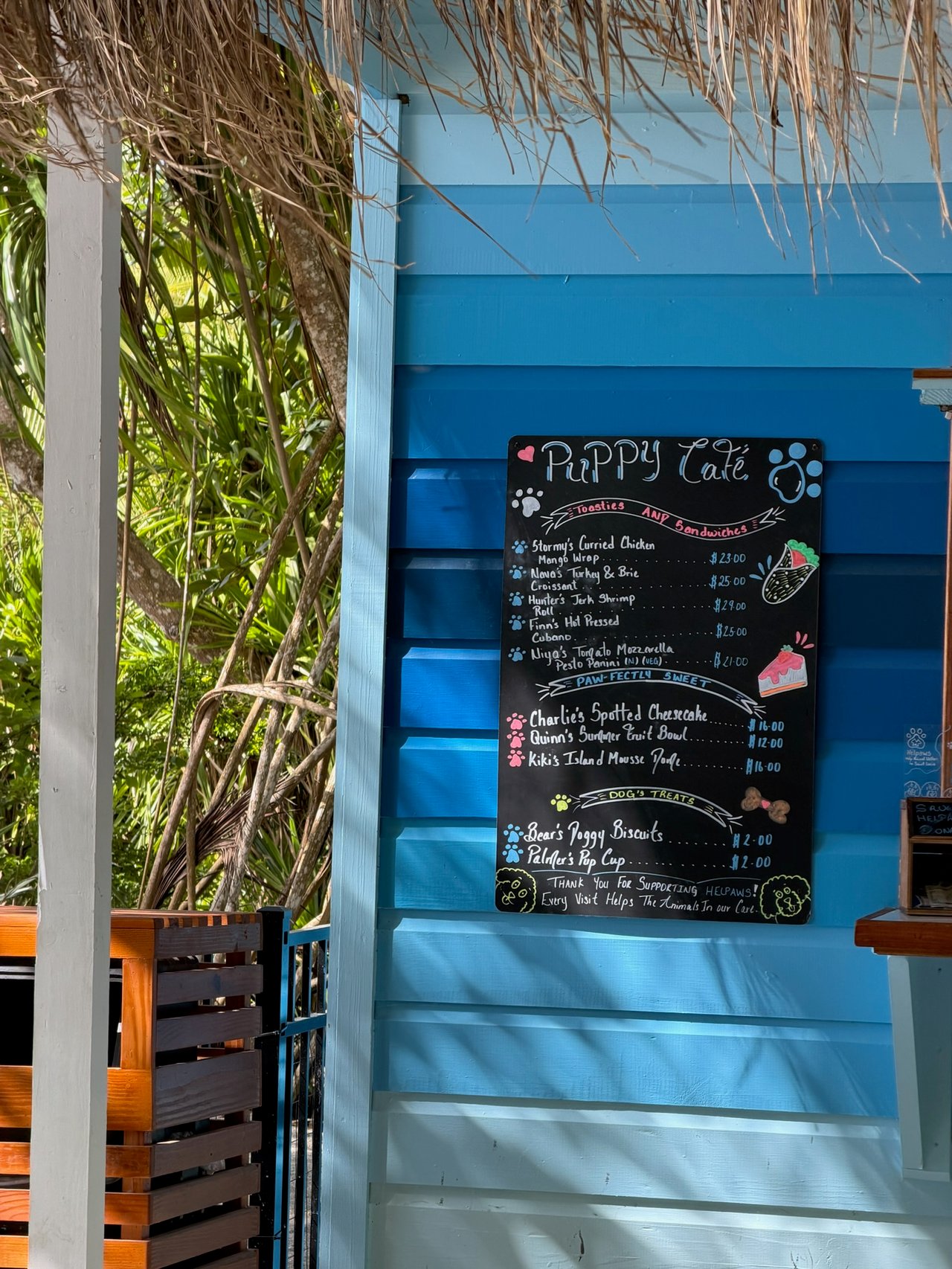 A Day on the Water: From Rodney Bay Marina to Soufrière with the Christie’s St. Lucia Team!