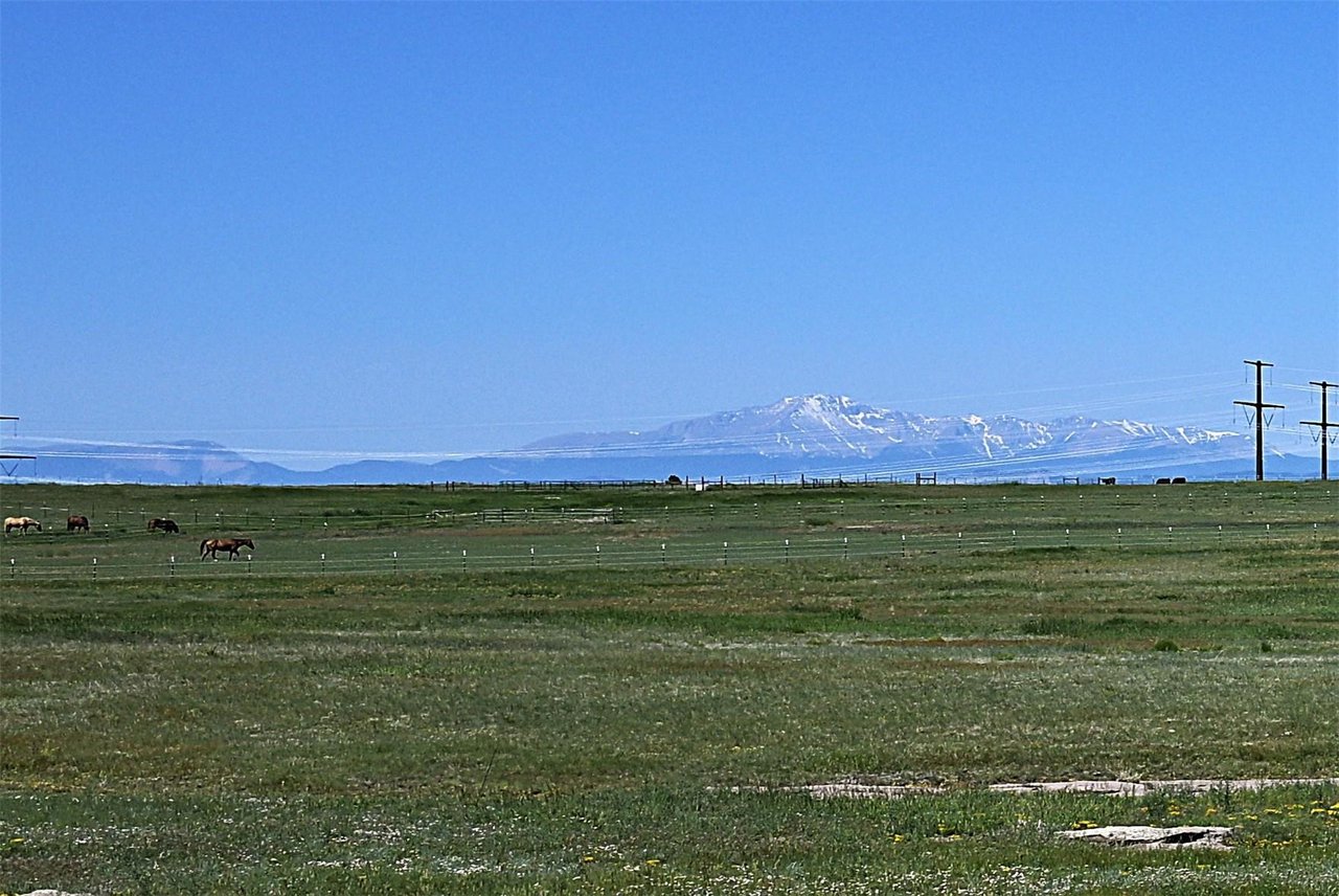 25995 Cave Spring Trail