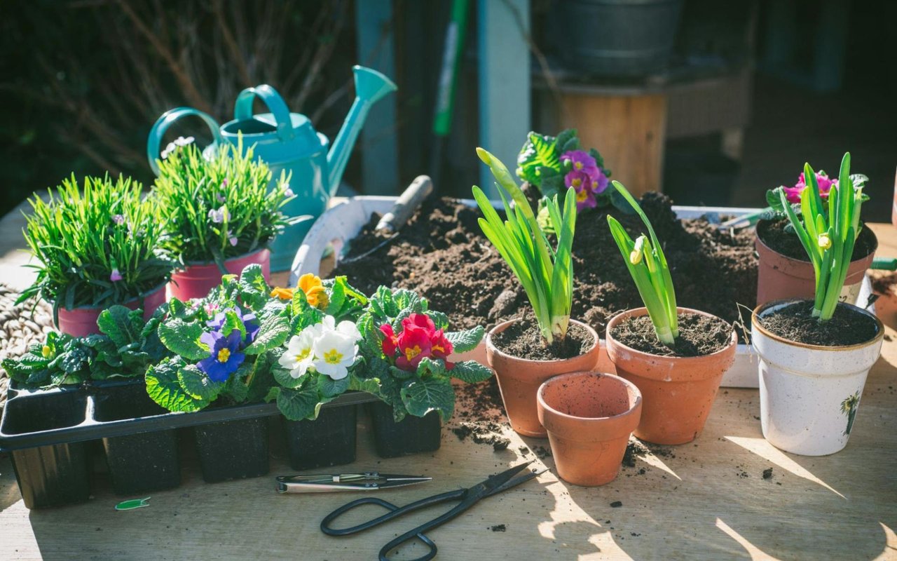 Top Landscaping Tips in Blanco County to Improve Curb Appeal