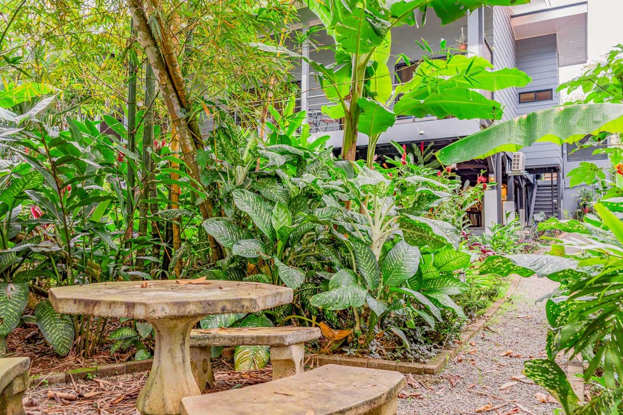Tropical 4-Bedroom Home for Sale in Uvita | Pool & Airbnb Income