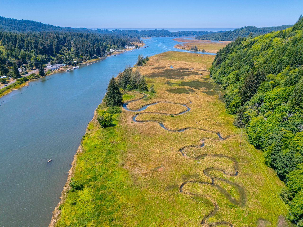 Alsea Estuary Forestland