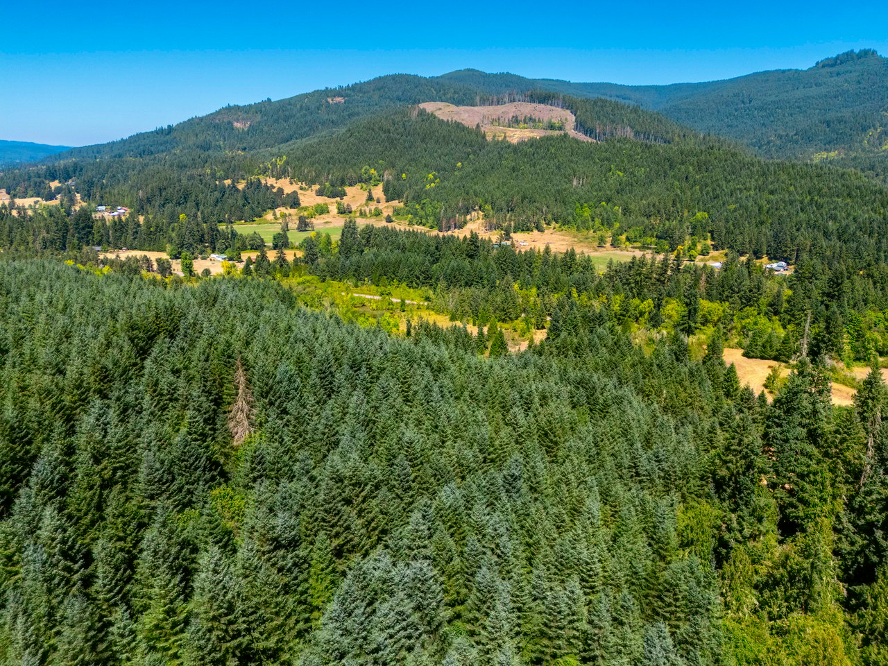 Coast Fork Woodland Meadows