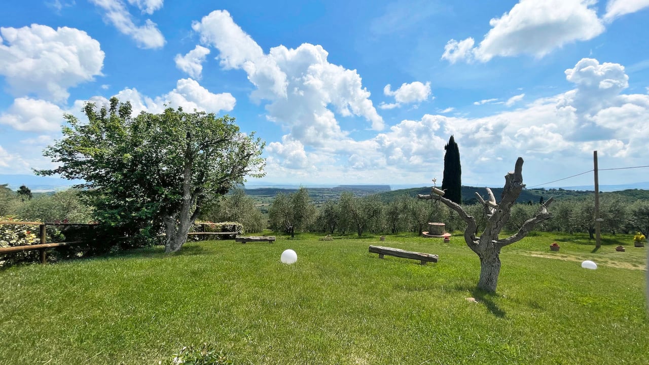 BELVEDERE DEL MAESTRO