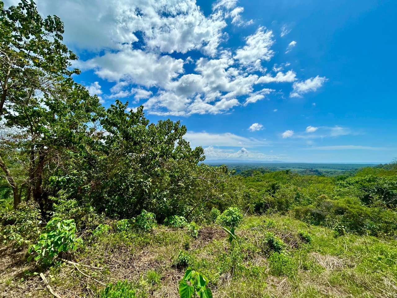 Ocean View Lot in San Buenas, Only $90K & Ready To Build