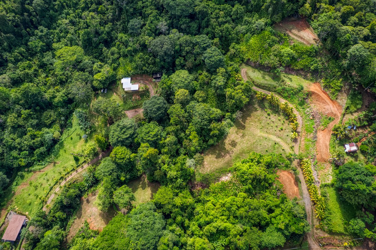 Sustainable Development Land, Uvita, Puntarenas