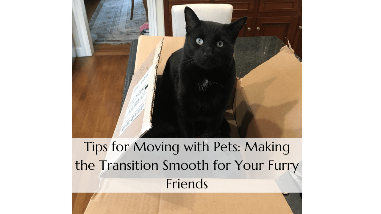 Tips for Moving with Pets: Making the Transition Smooth for Your Furry Friends