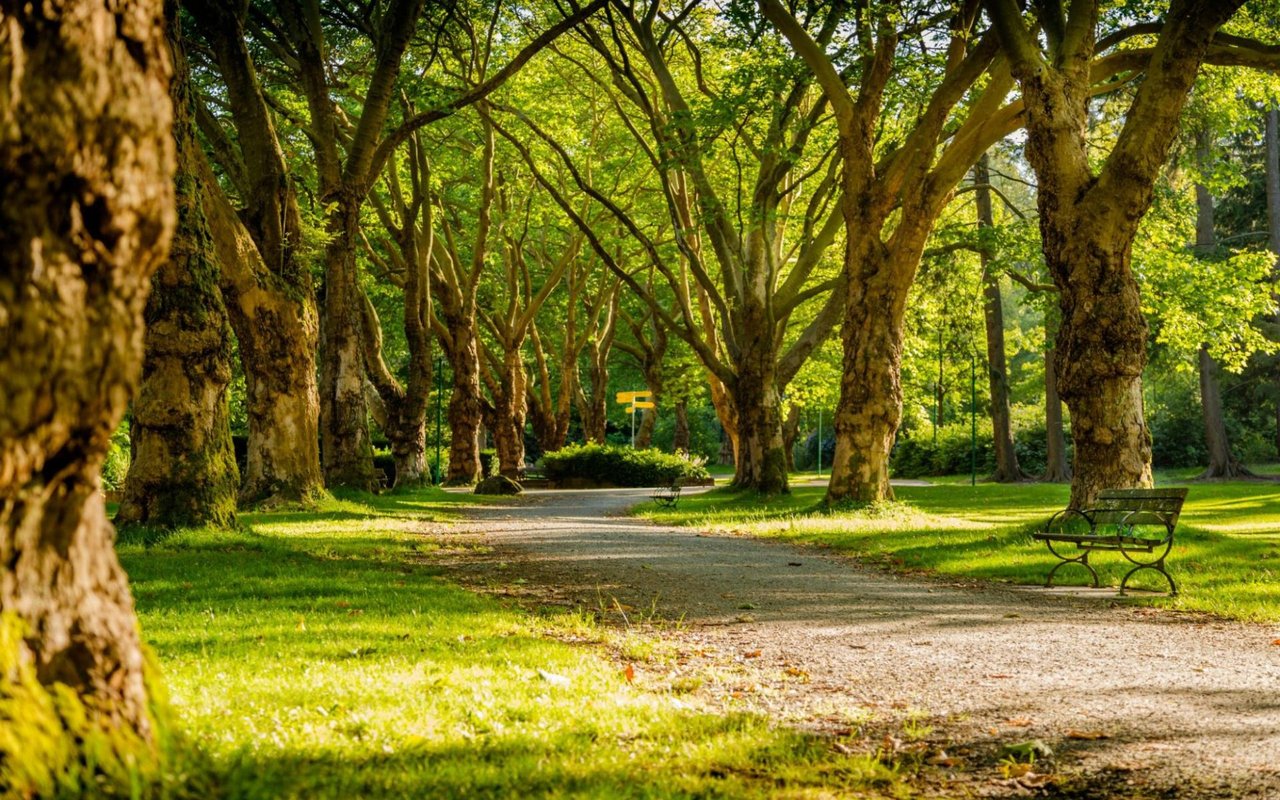 7 Neighborhood Amenities That Increase Home Value