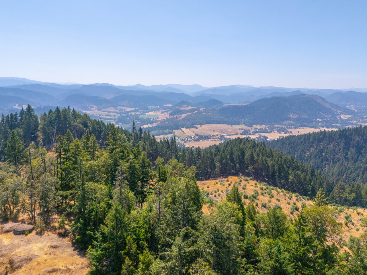 STRICKLAND BOULDER FOREST