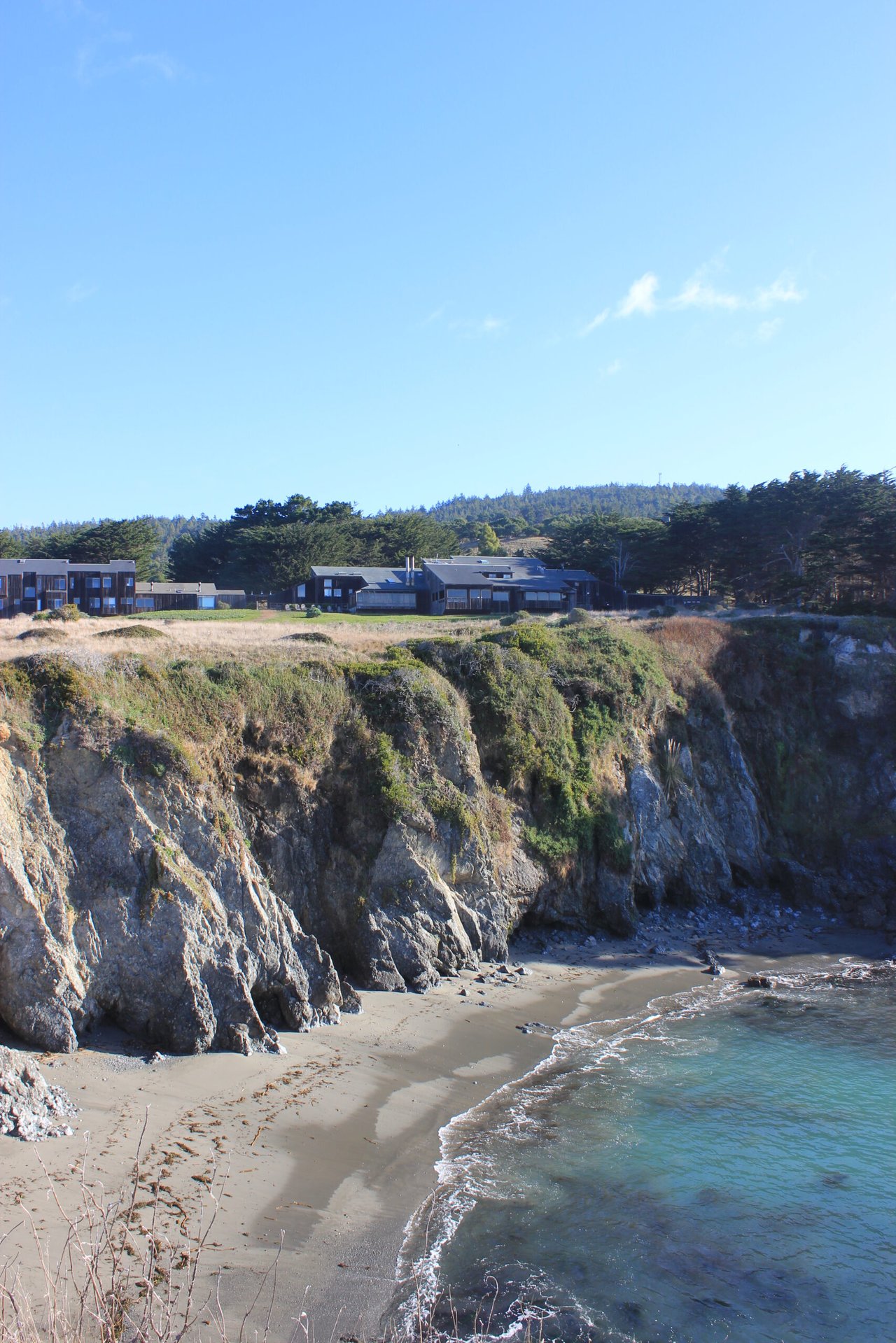 Where to Go Whale Watching on the Sonoma Coast