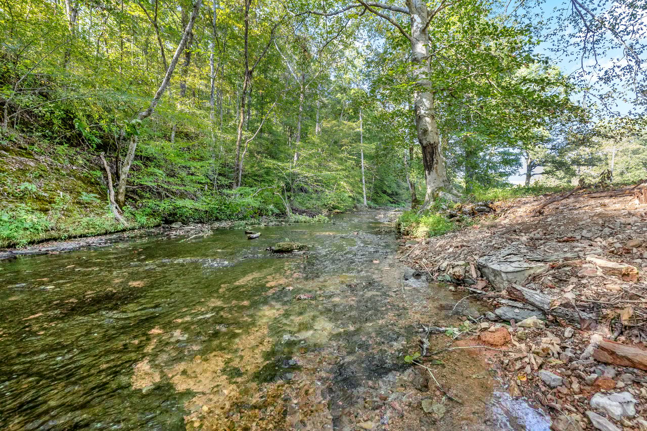 8192 Shoals Branch Road