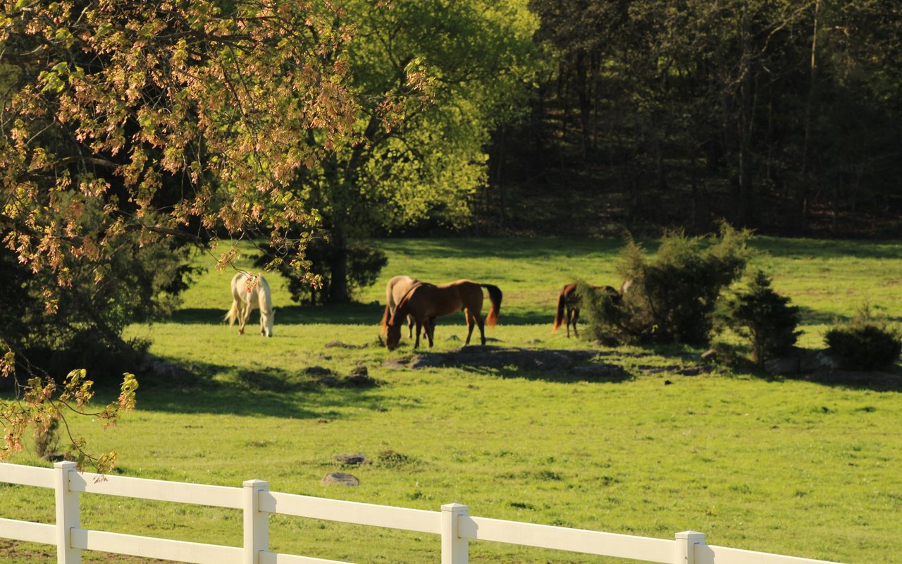 Spring Hill