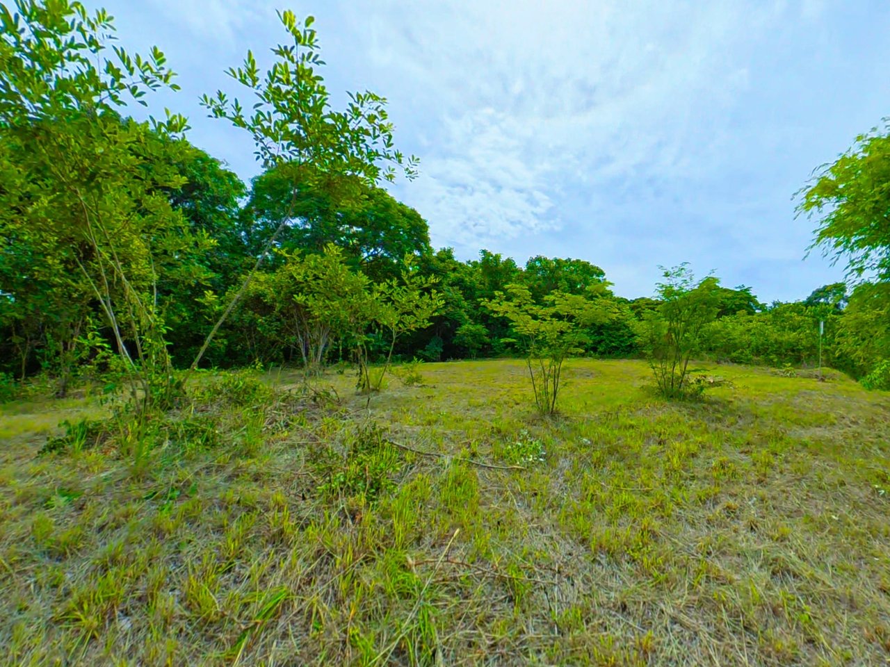 T-Eric Finca Los Pargos | Near the Coast Home Construction Site For Sale in Finca Los Pargos