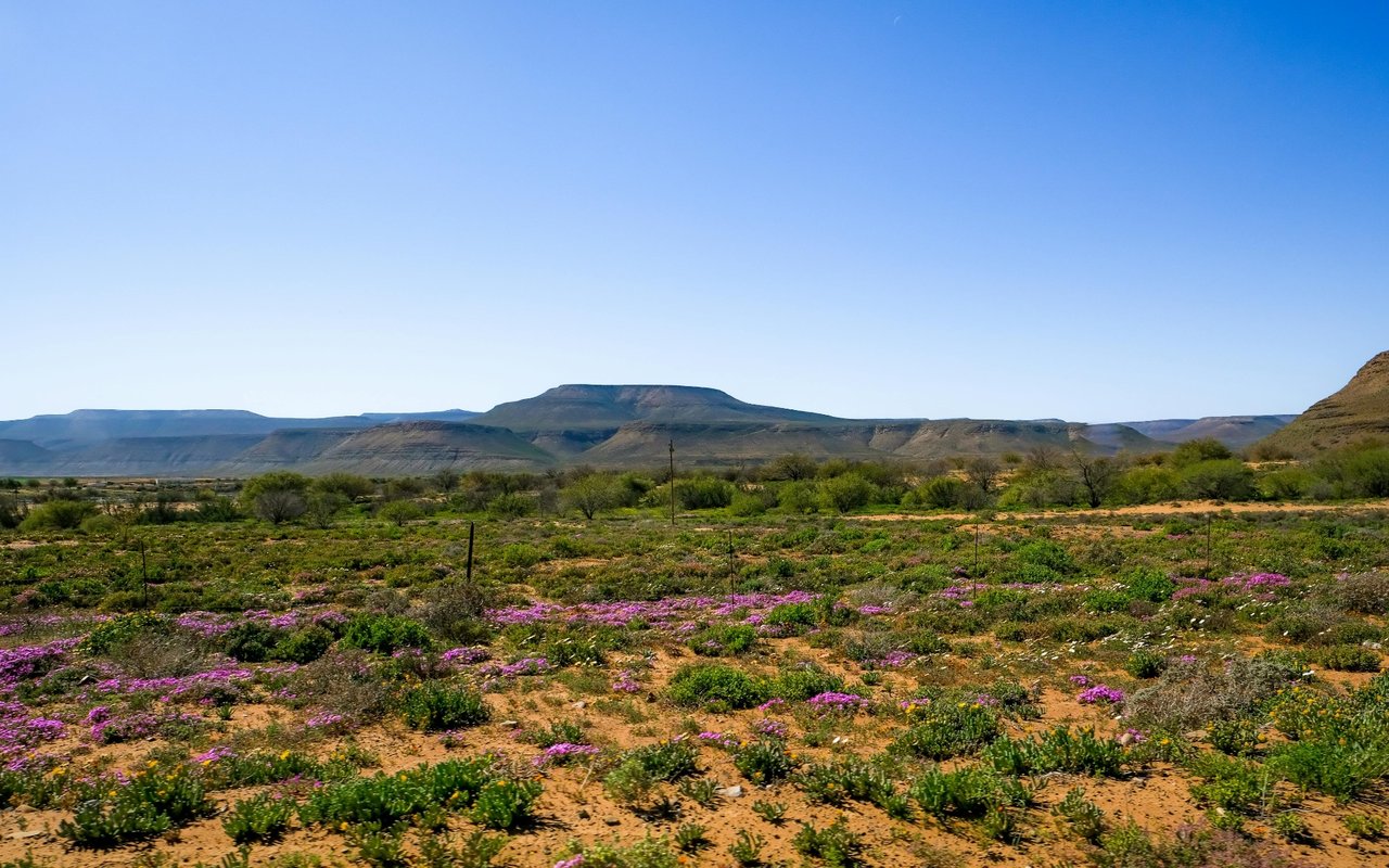 West North County