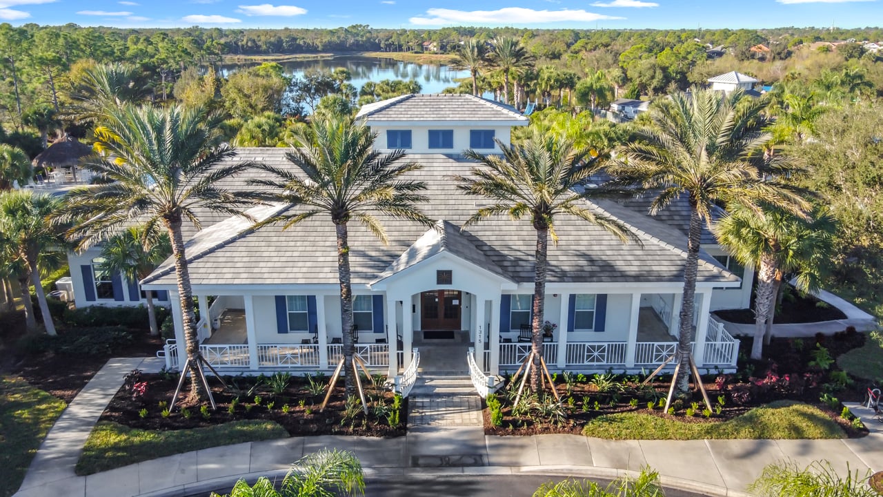 Grand Palm