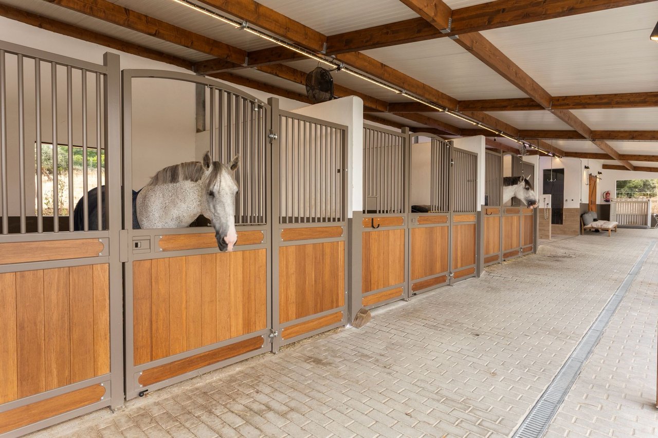 Magnificent and Grand Equestrian Estate in the Alentejo