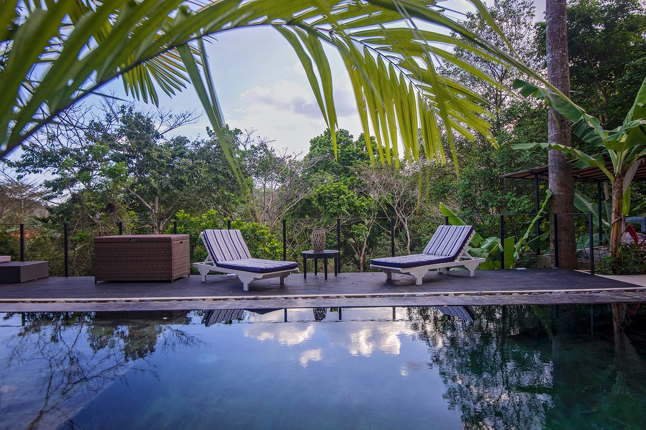 The Jungle Residence