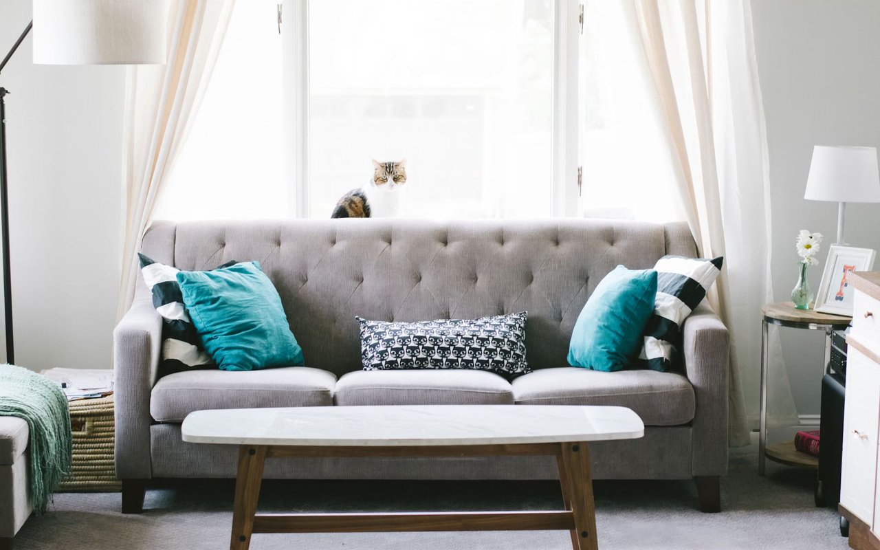 Home Decor and Furniture Stores in Charlottesville, VA