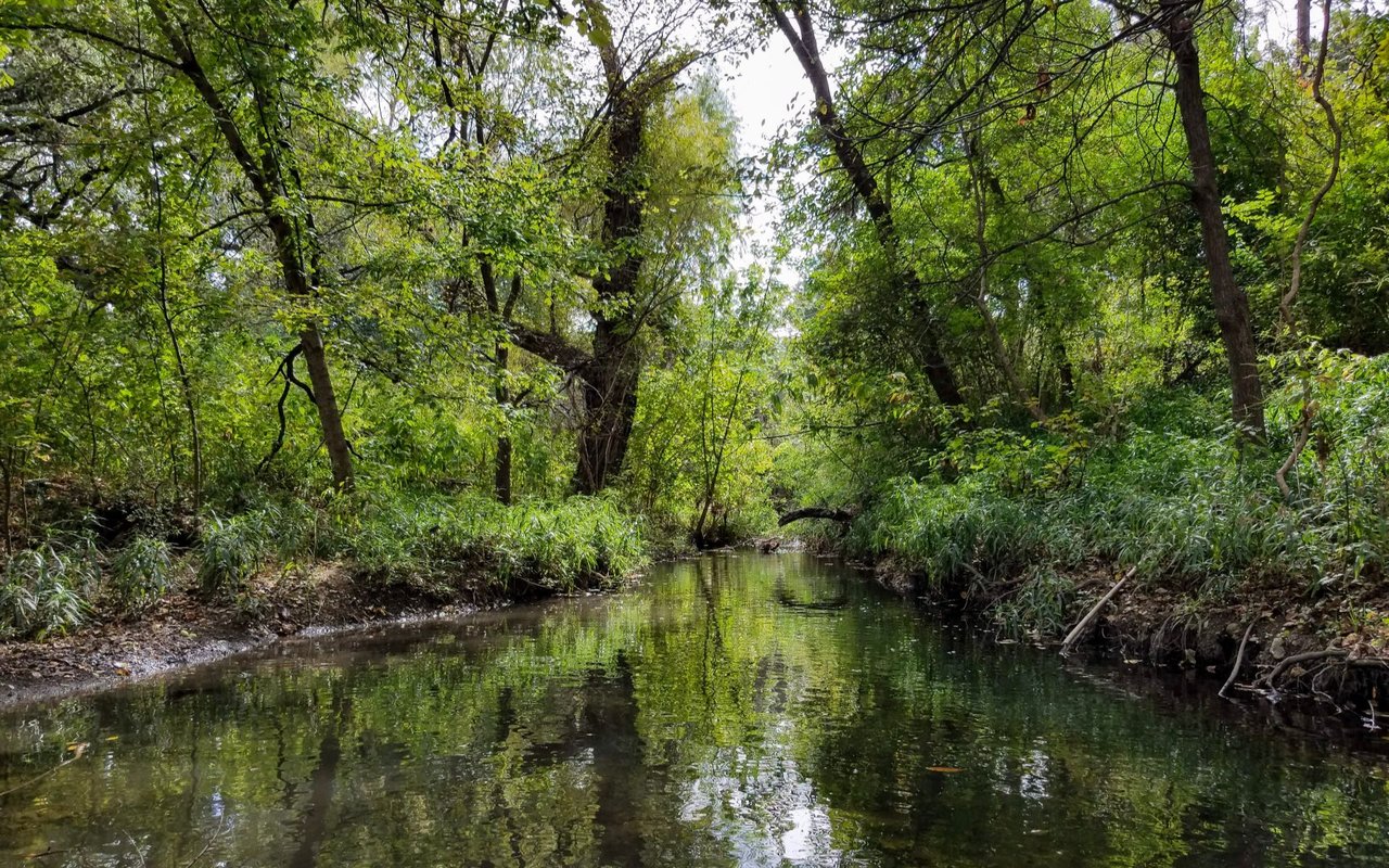 Bouldin Creek