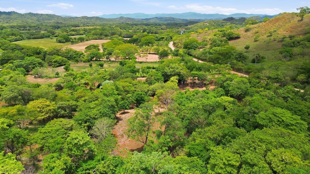 3.4 Acres of Quiet Country Living | 12 minutes from the Beach - Tempate 