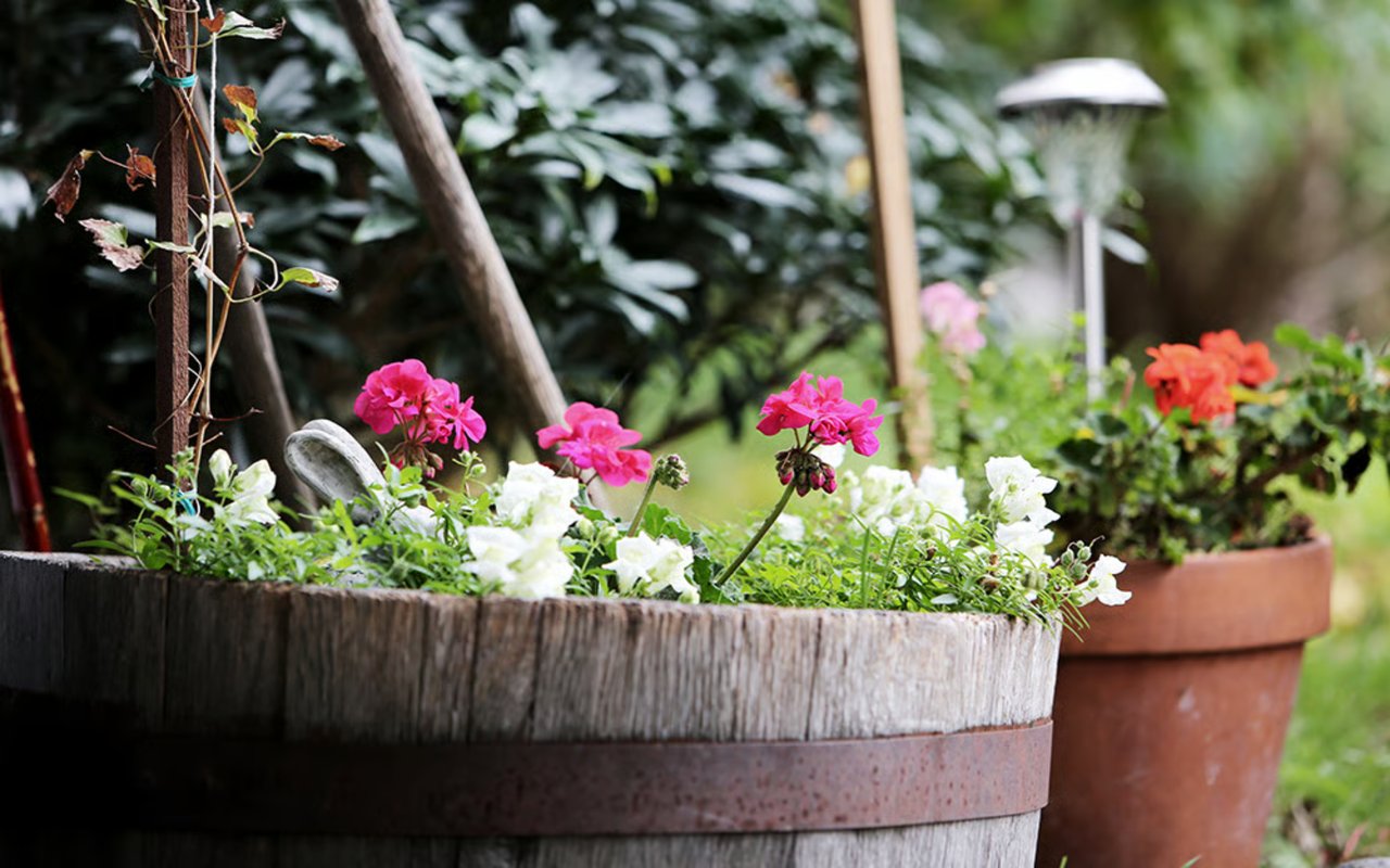 5 Fall Eco-Friendly Must Haves for Your Patio