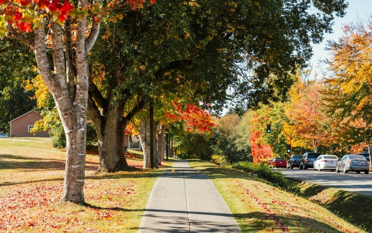 Discover the Top Neighborhoods in Knoxville, TN