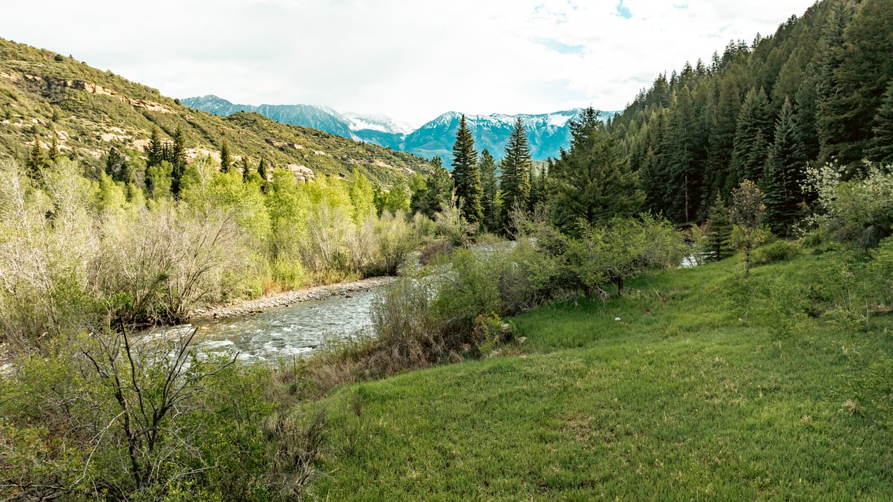 River winding through a green mountain valley, bordered by trees beneath snow-dusted peaks.