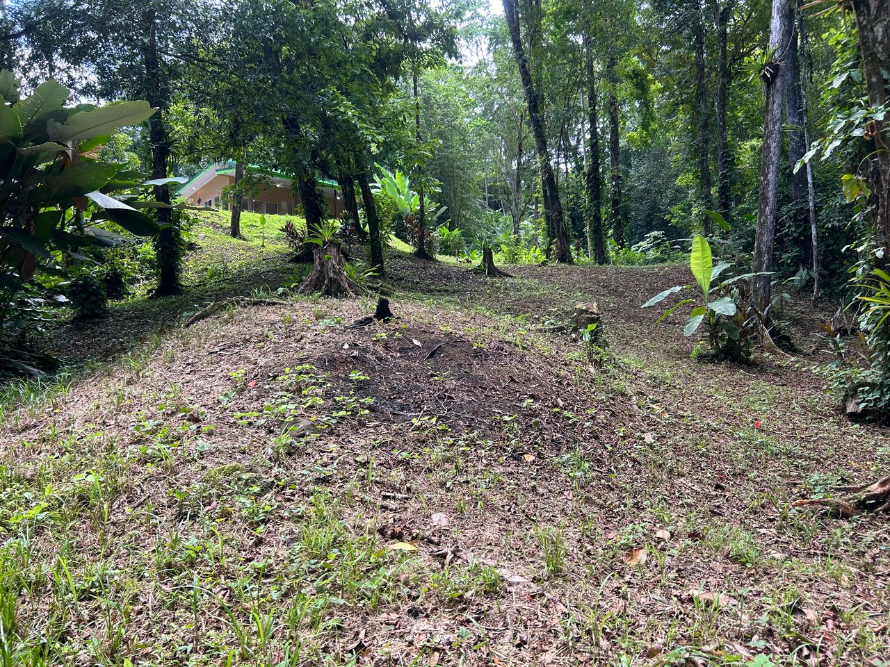 Fire Sale Investment Opportunity in Jardines del Morete | 2 Bed | 2 Bath Home with River Access