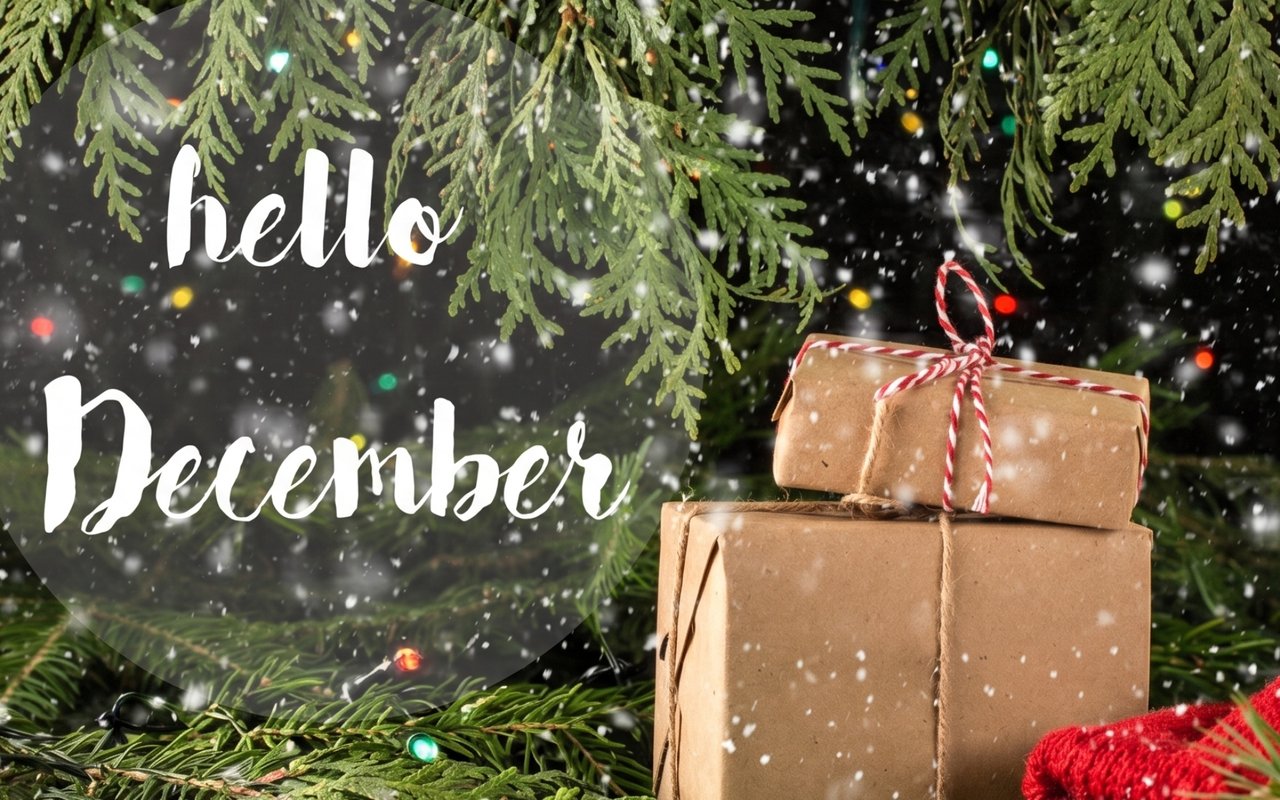Charlotte’s December Delights: A Guide to Festive Events in the Queen City