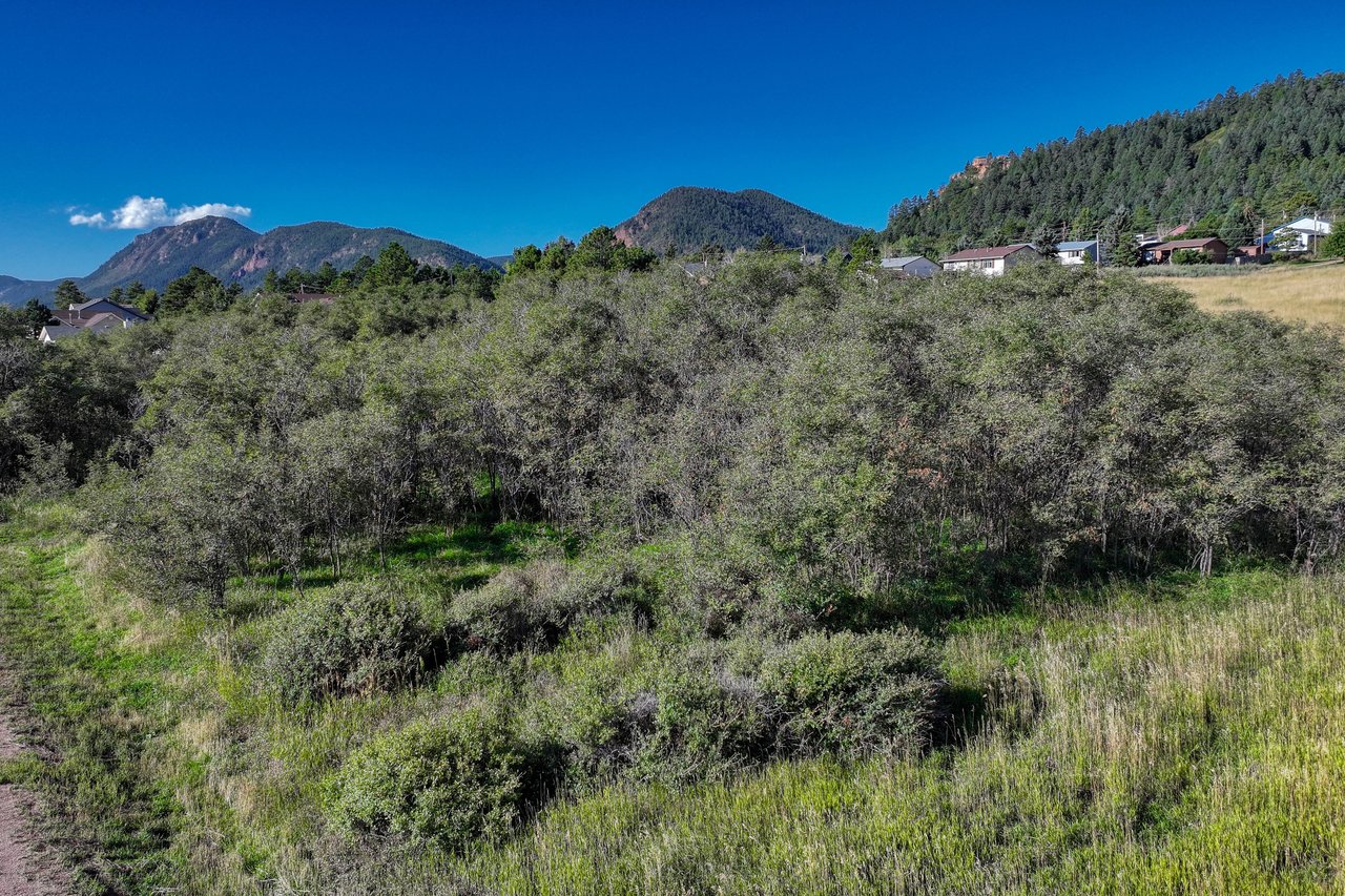 15989 S Perry Park Road